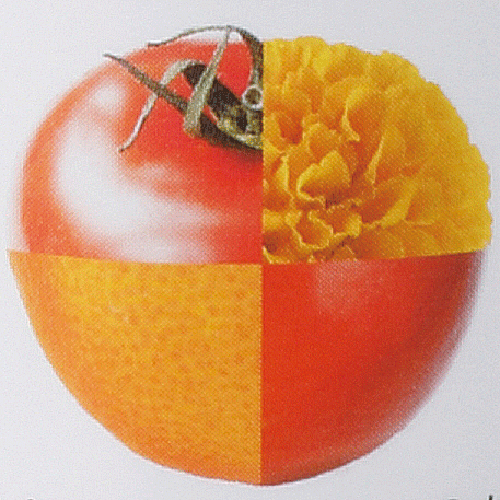 マルチカロテノイドイメージ